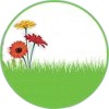 dual power greenlife sgrassatore mini